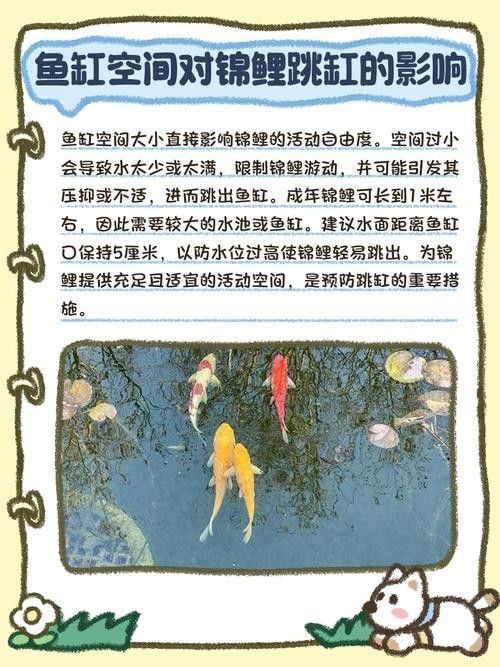 龍魚(yú)跳缸還能活嗎圖片大全 龍魚(yú)跳缸還能活嗎圖片大全 龍魚(yú)百科 第14張