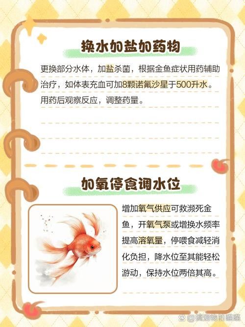 龍魚(yú)跳缸還能活嗎圖片大全 龍魚(yú)跳缸還能活嗎圖片大全 龍魚(yú)百科 第18張