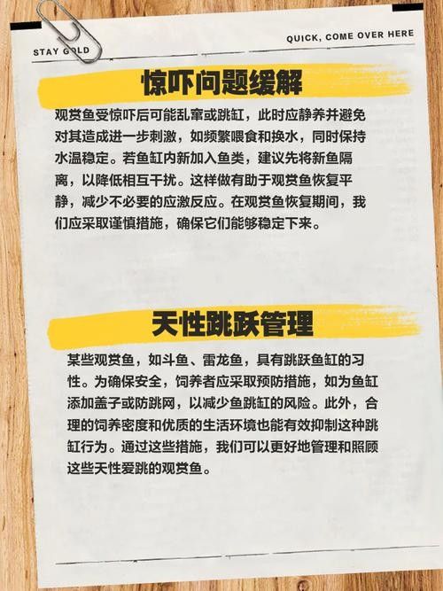 龍魚(yú)跳缸還能活嗎圖片大全 龍魚(yú)跳缸還能活嗎圖片大全 龍魚(yú)百科 第13張