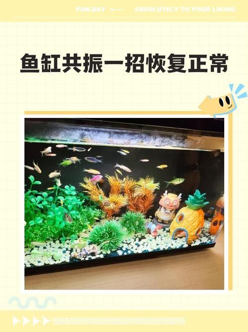 龍魚(yú)跳缸還能活嗎圖片大全 龍魚(yú)跳缸還能活嗎圖片大全 龍魚(yú)百科 第15張