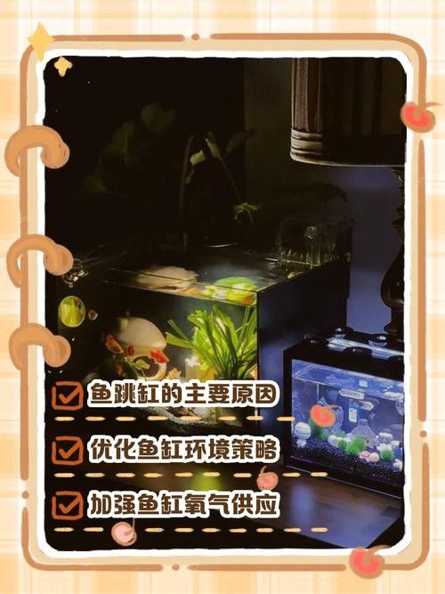 龍魚(yú)跳缸還能活嗎圖片大全 龍魚(yú)跳缸還能活嗎圖片大全 龍魚(yú)百科 第23張