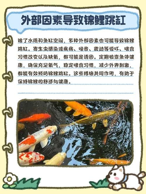 龍魚(yú)跳缸還能活嗎圖片大全 龍魚(yú)跳缸還能活嗎圖片大全 龍魚(yú)百科 第20張