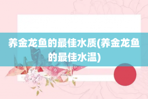 家用魚(yú)缸價(jià)格及圖片大全（魚(yú)缸維護(hù)保養(yǎng)技巧）