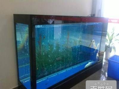 專業(yè)修魚缸電話承德，承德魚缸清洗收費標準魚缸漏水維修技巧 專業(yè)修魚缸電話承德，承德魚缸清洗收費標準魚缸漏水維修技巧 龍魚百科 第5張