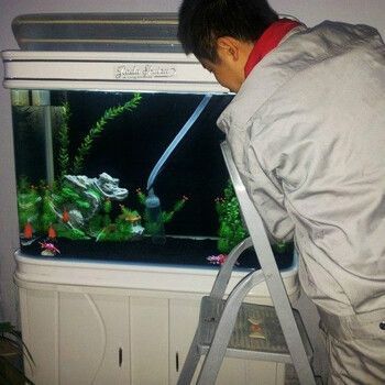 專業(yè)修魚缸電話承德，承德魚缸清洗收費標準魚缸漏水維修技巧 專業(yè)修魚缸電話承德，承德魚缸清洗收費標準魚缸漏水維修技巧 龍魚百科 第4張
