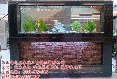 專業(yè)修魚缸電話承德，承德魚缸清洗收費標準魚缸漏水維修技巧 專業(yè)修魚缸電話承德，承德魚缸清洗收費標準魚缸漏水維修技巧 龍魚百科 第3張