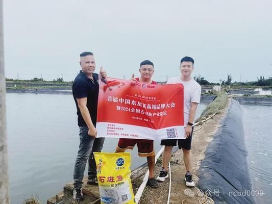 龍魚幼苗掛蛋苗什么意思：龍魚幼苗挑選技巧