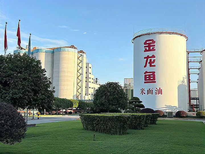金龍魚渠道分析 金龍魚渠道分析 龍魚百科 第1張