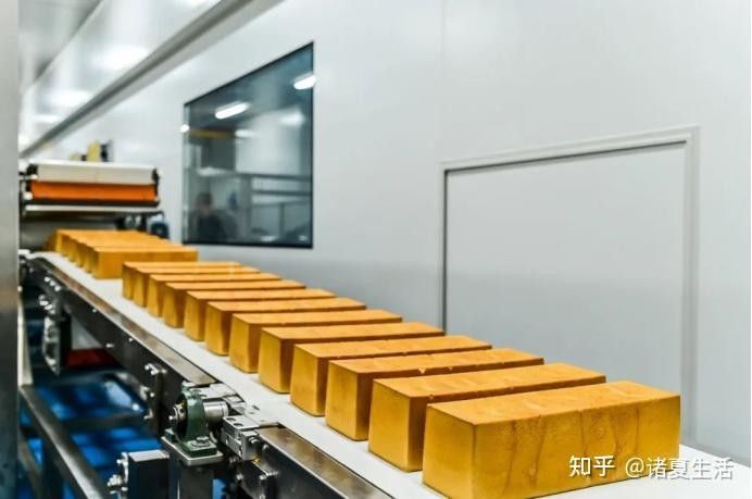金龍魚渠道分析 金龍魚渠道分析 龍魚百科 第2張