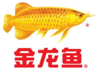 金龍魚不夠金黃能吃嗎：金龍魚不夠金黃怎么辦