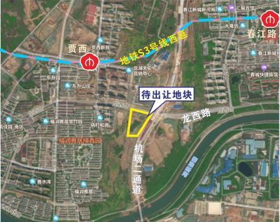 龍魚嘴撞破了怎么處理：當龍魚的嘴巴撞破時，處理方法會根據具體情況有所不同 龍魚嘴撞破了怎么處理：當龍魚的嘴巴撞破時，處理方法會根據具體情況有所不同 龍魚百科 第3張