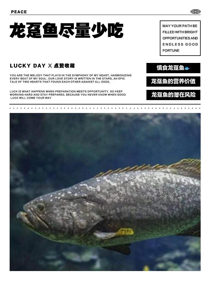 龍躉魚的最佳食用方法有哪些？ 龍躉魚的最佳食用方法有哪些？ 龍魚百科 第4張