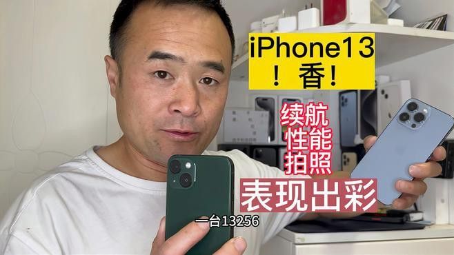 六角龍魚最大可以長多大