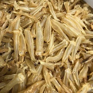 廣東金龍魚批發市場在哪里啊