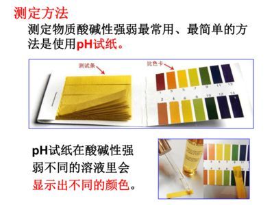 廣州大型魚缸定做o祥龍魚場：廣州大型魚缸定做專家—bb祥龍魚場，打造水族藝術的巔峰之作