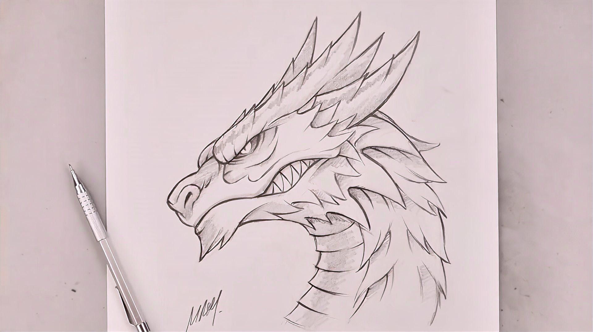 龍頭插畫欣賞 龍頭插畫欣賞 龍魚百科 第28張