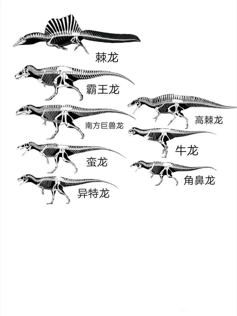 恐龍王公母的圖片對比