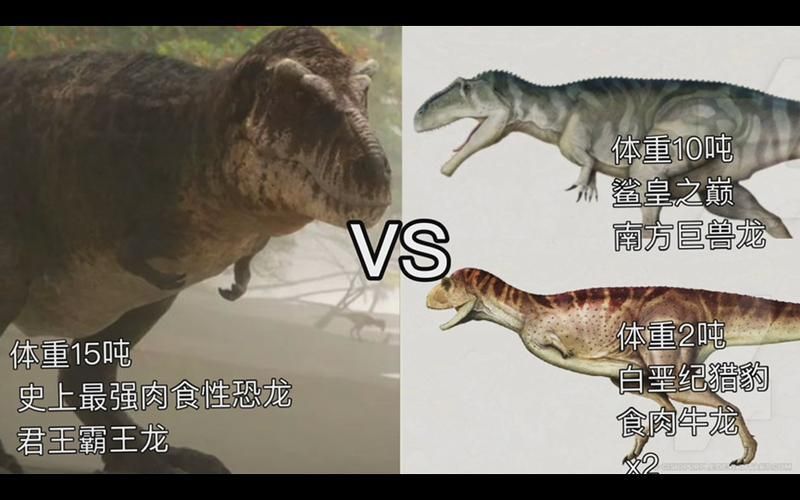 恐龍王公母的圖片對比