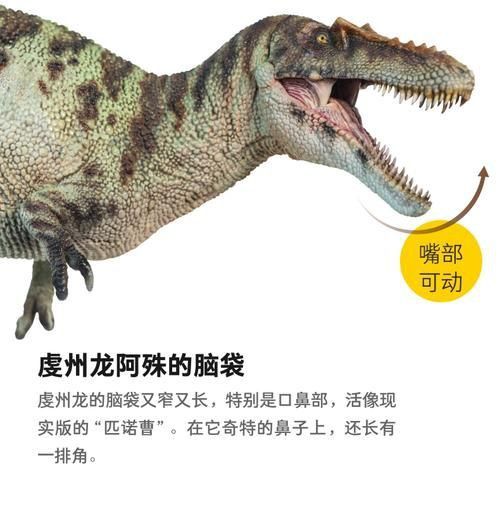 恐龍王公母的圖片對比
