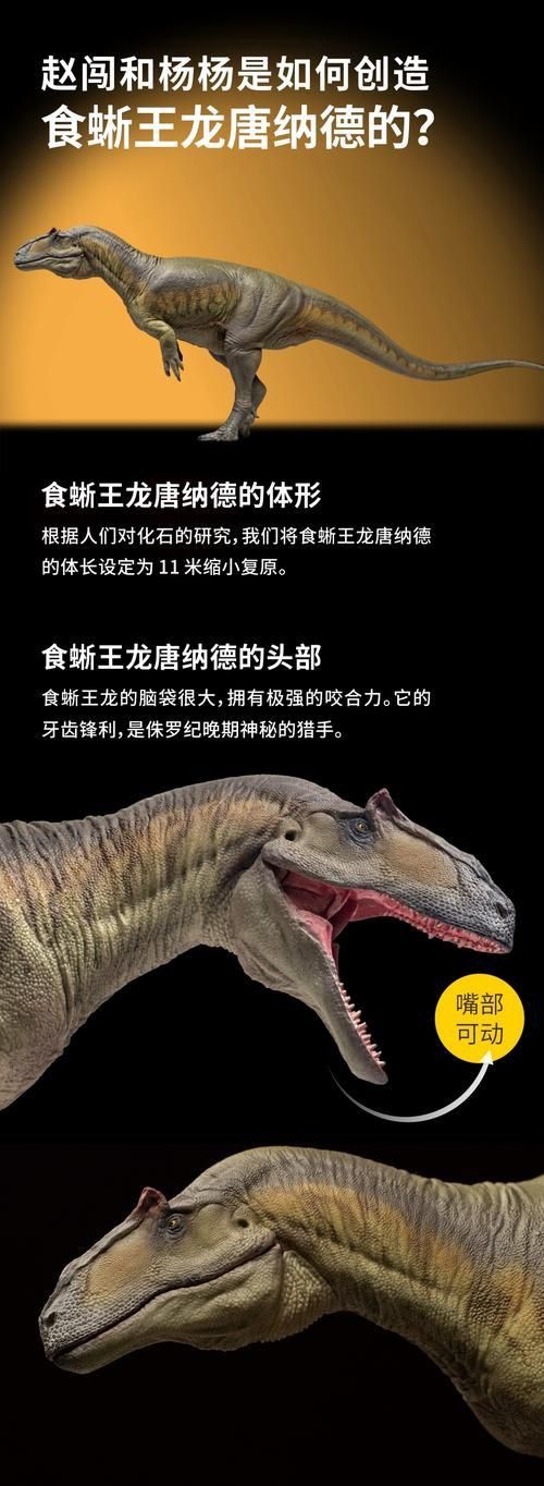 恐龍王公母的圖片對比