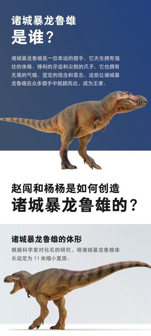 恐龍王公母的圖片對比