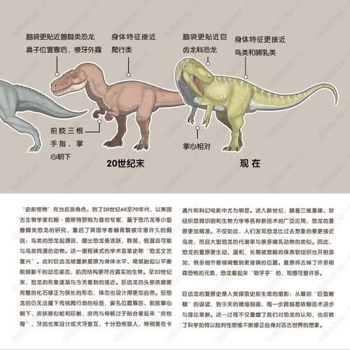 恐龍王公母的圖片對比