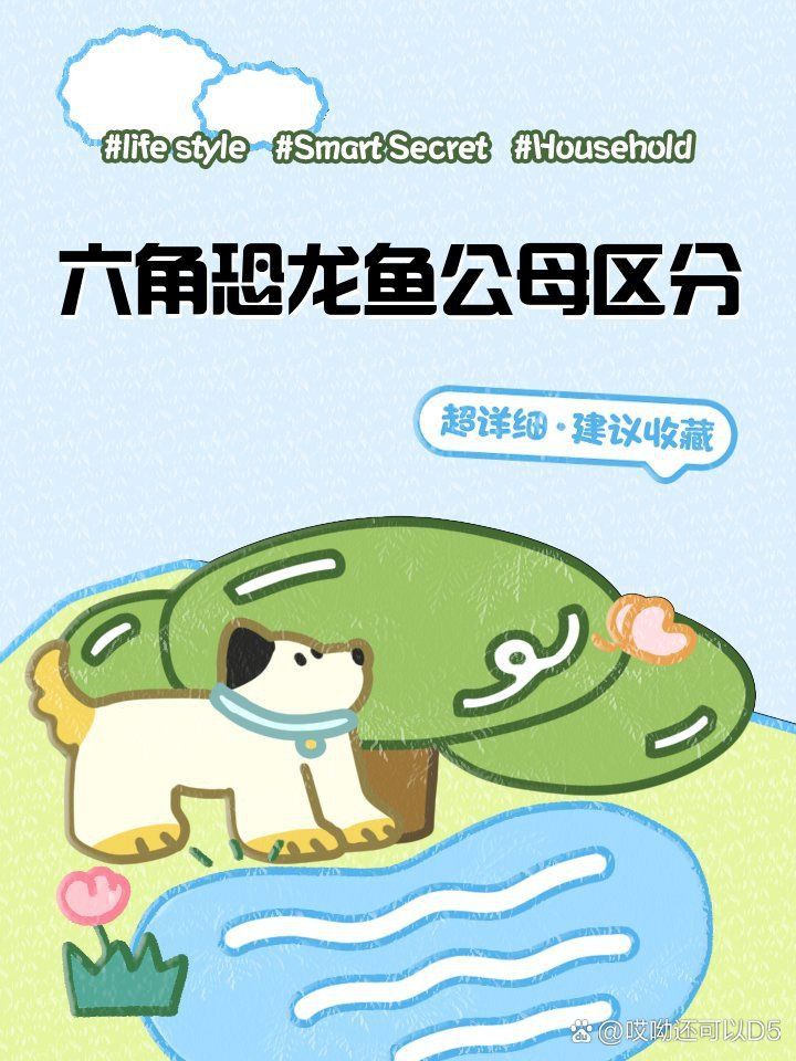 恐龍王公母的圖片對比