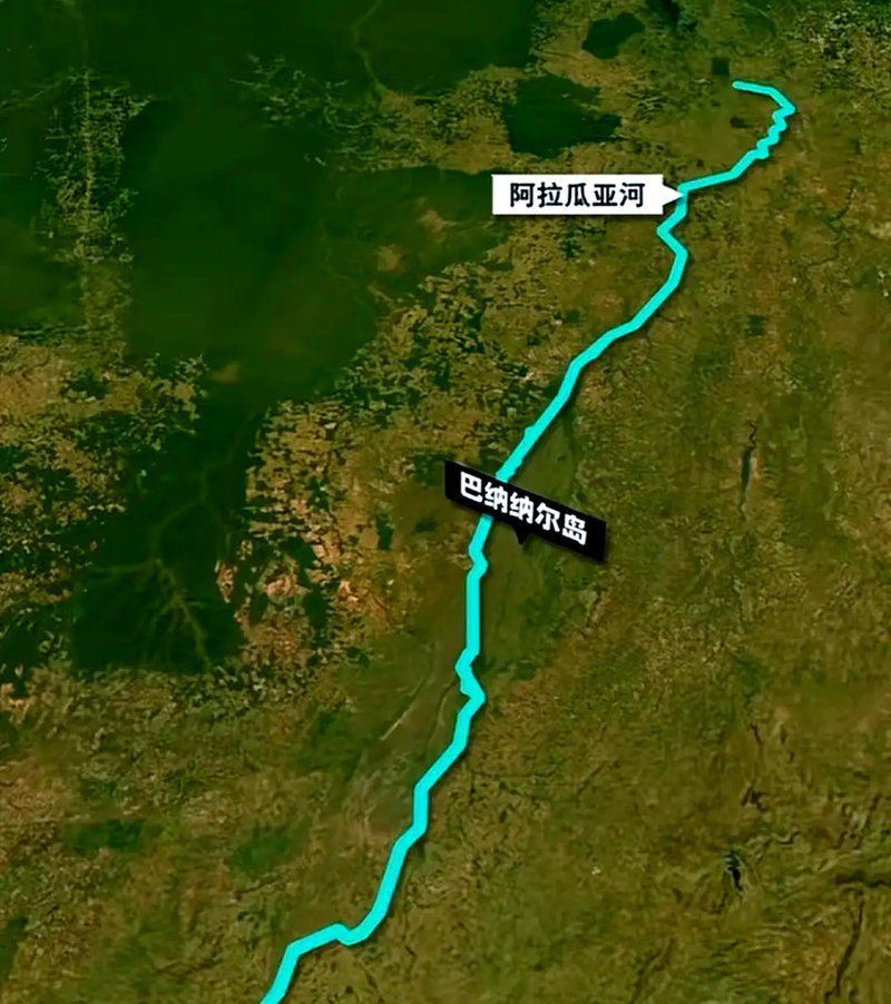 藍帆五間魚脫變最簡單三個征兆