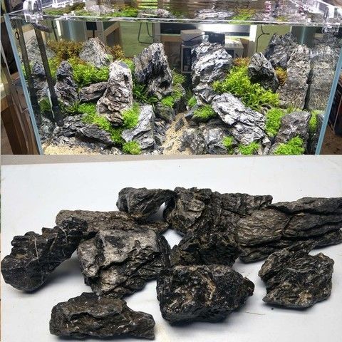 龍魚缸沉木造景效果圖：龍魚缸沉木造景效果圖是一種通過水族箱中加入木質裝飾物來創造自然景觀效果