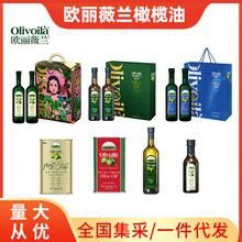 金龍魚歐麗薇蘭