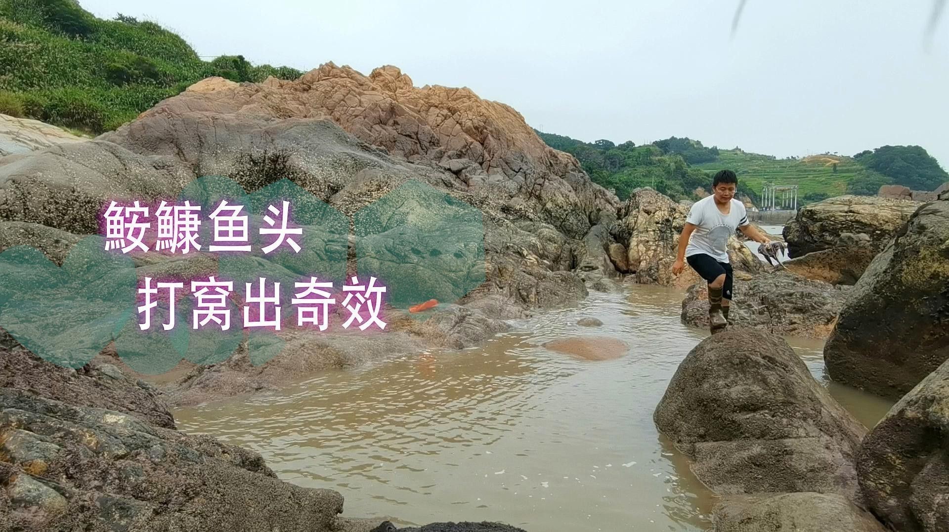 紅龍魚可以吃哪些水果 紅龍魚可以吃哪些水果 龍魚百科 第4張