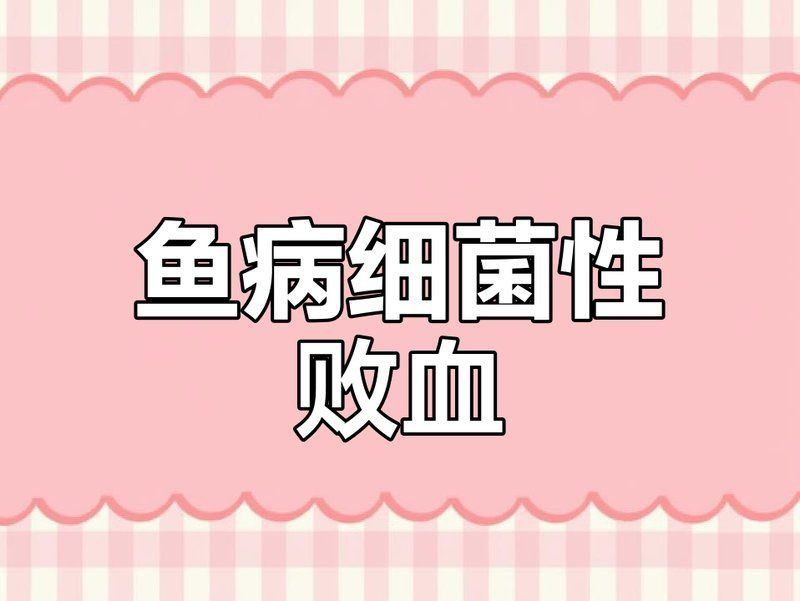 龍魚呼吸急促會傳染嗎? 龍魚百科 第6張 龍魚呼吸急促會傳染嗎? 龍魚呼吸急促會傳染嗎? 龍魚百科 第6張