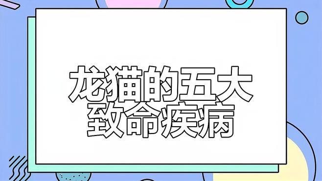 龍貓生病有哪些癥狀？ 龍貓生病有哪些癥狀？ 龍魚百科 第5張