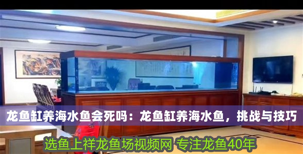 龍魚缸養海水魚會死嗎：龍魚缸養海水魚，挑戰與技巧