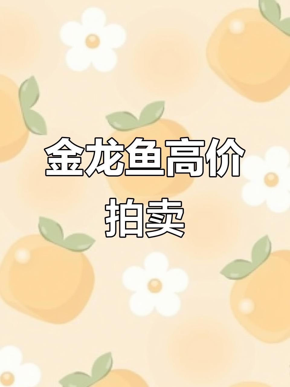 古典黑底金龍魚市場價值 龍魚百科 第1張 古典黑底金龍魚市場價值 古典黑底金龍魚市場價值 龍魚百科 第1張
