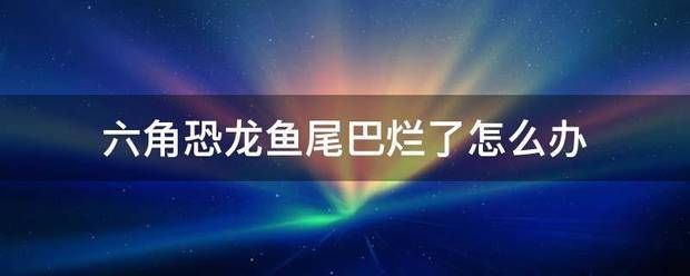 六角恐龍魚食物沉底了就不會吃了嗎：六角恐龍魚爛尾怎么辦