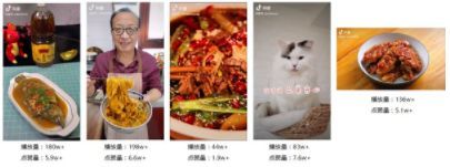金龍魚營銷案例分析報告：金龍魚品牌的營銷策略