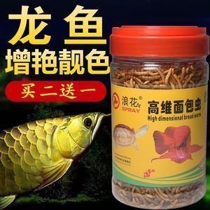 龍魚下黃粉多久才見(jiàn)效：龍魚下黃粉后藥效通常持續(xù)1-3天