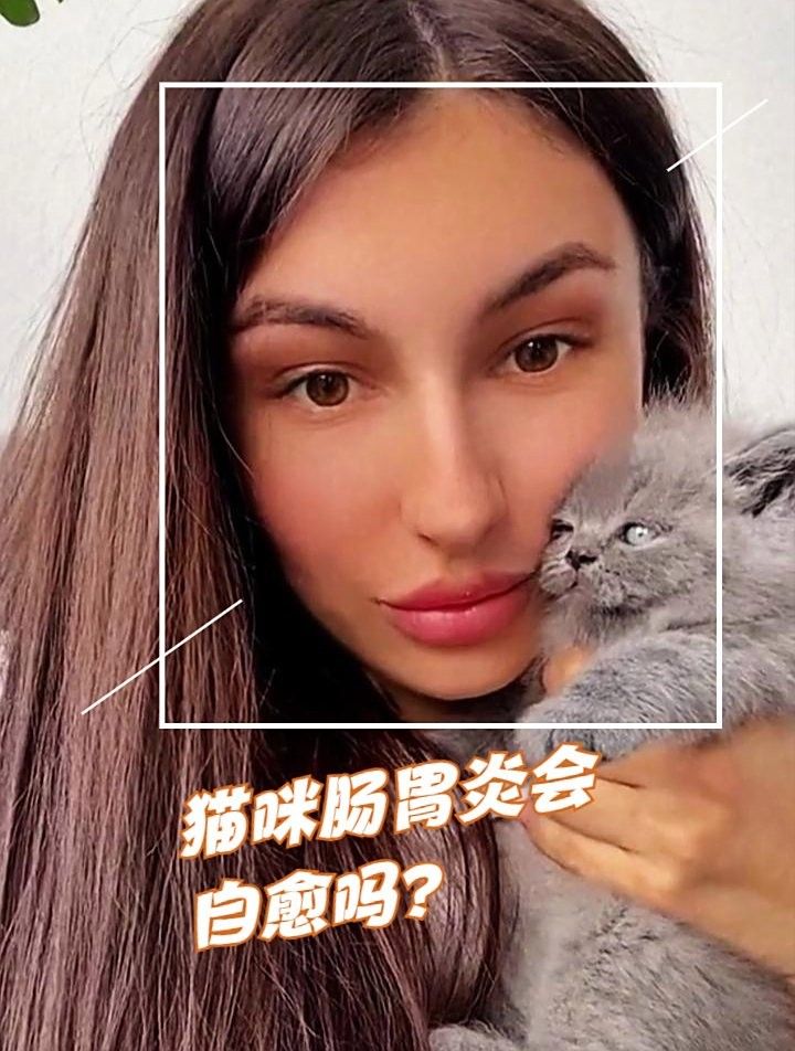 龍貓消化系統異常會自愈嗎？ 龍貓消化系統異常會自愈嗎？ 龍魚百科 第3張