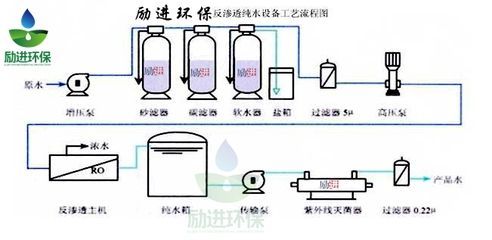 龍魚做完掉眼手術恢復多久：龍魚做完掉眼手術還是掉眼皮怎么辦？原因分析與解決方案