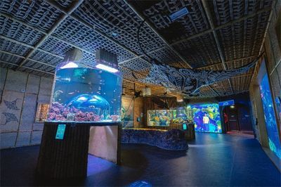 祥龍魚場水族館加盟：加盟祥龍魚場水族館需要準備多少錢