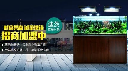祥龍魚場水族館加盟：加盟祥龍魚場水族館需要準備多少錢