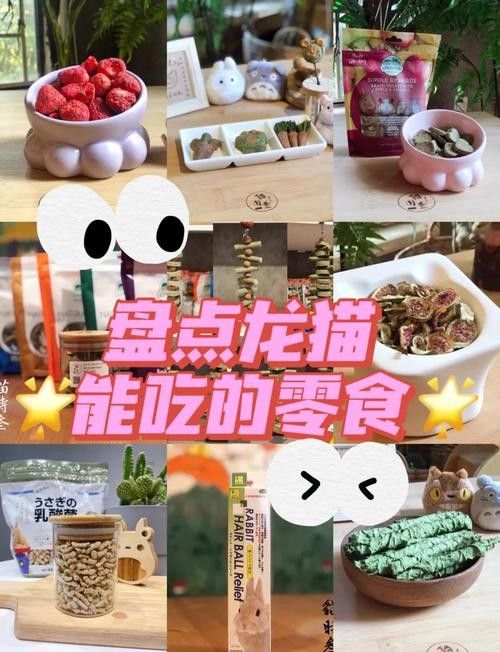 龍貓放風(fēng)后應(yīng)該如何處理？