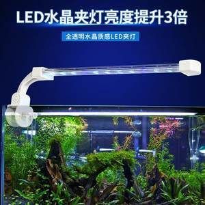 龍魚led燈(如何挑選高品質的龍魚led燈) 龍魚百科 第1張 龍魚led燈(如何挑選高品質的龍魚led燈) 龍魚led燈(如何挑選高品質的龍魚led燈) 龍魚百科 第1張