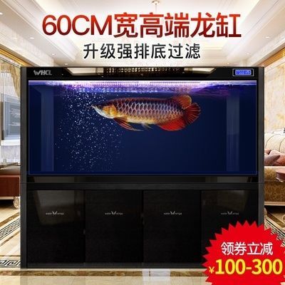 有什么辦法魚缸不用總換水（如何選擇合適的過濾系統？）