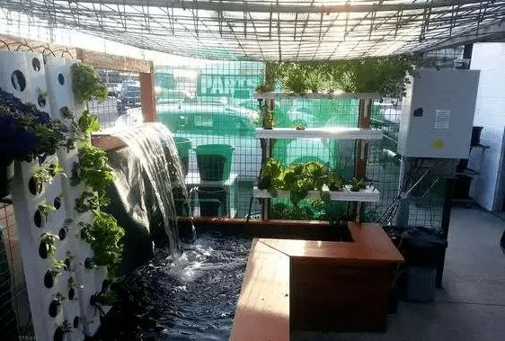 有什么辦法魚缸不用總換水（如何選擇合適的過濾系統？）