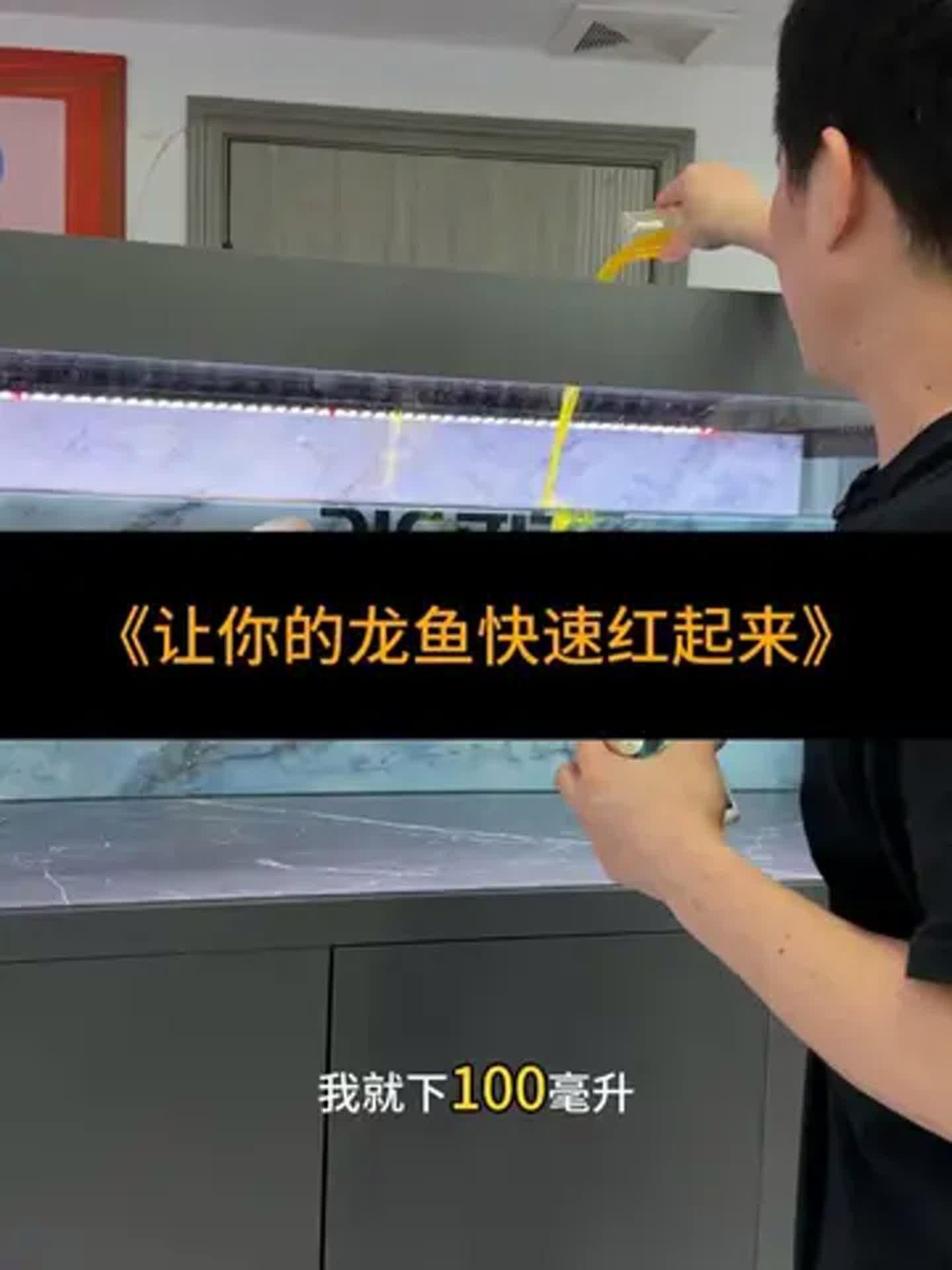 如何聯系印尼紅龍漁場進行咨詢？