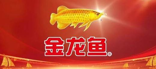 金龍魚宣傳視頻：金龍魚品牌宣傳視頻可能會展示品牌的發展歷程、產品優勢 金龍魚宣傳視頻：金龍魚品牌宣傳視頻可能會展示品牌的發展歷程、產品優勢 龍魚百科 第3張
