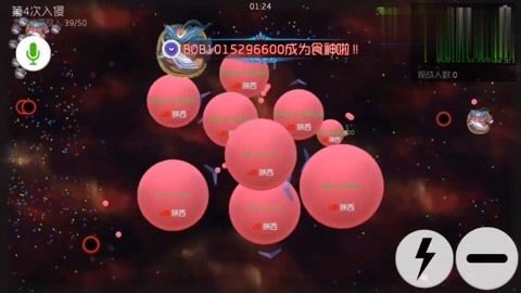 金龍魚成年要多久喂一次飼料：金龍魚的喂食頻率是多久一次金龍魚多久喂一次比較好