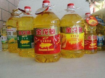 進(jìn)口金龍魚多少錢一條：進(jìn)口金龍魚的價格